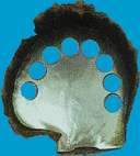 black_mop.gif (32970 bytes)