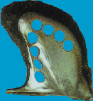 brown.gif (12530 bytes)